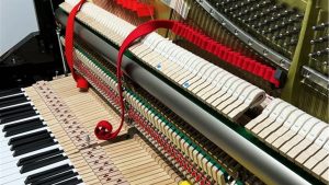 1年の総仕上げ「4Hz変更」