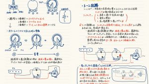「プラスチックじゃないの？」僕がギターの中身に夢中になった理由
