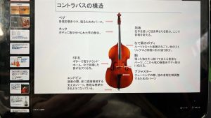 「管楽器リペア科なのにコントラバス！？」私がカリキュラム外の楽器を勉強する理由